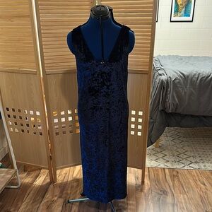 NWT BB Dakota Crushed Velvet Dress